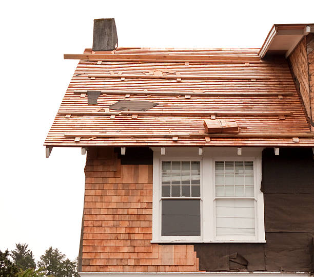 Affordable Siding Repair and Maintenance Services in Ellicott City, MD